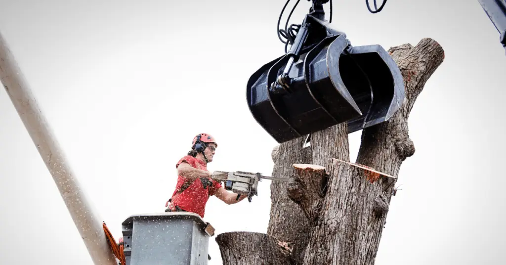 Storm Cleanup in Maitland, FL 4 Worker in a red helmet in a bucket lift cutting a tree trunk while a grapple holds the section above