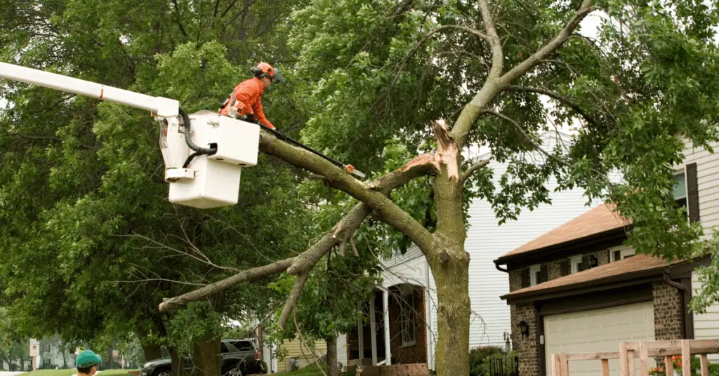 Storm Cleanup in Maitland, FL 2 Worker in a bucket lift cutting a broken limb from a tree beside a house