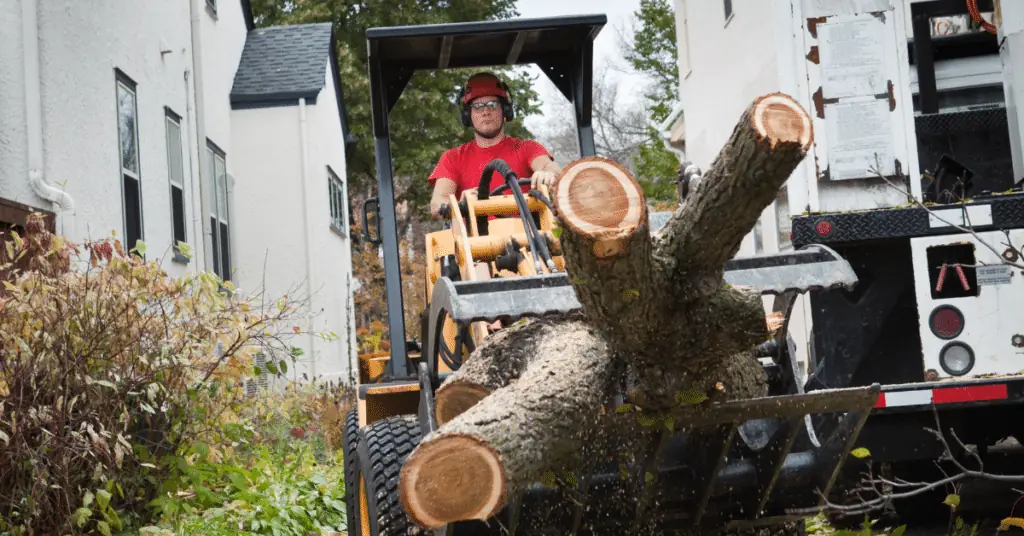 Storm Cleanup in Maitland, FL 3 Worker in a red helmet driving a small loader stacked with cut logs next to a work truck