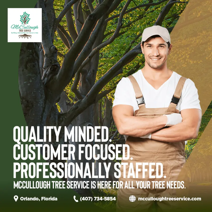 Tree Removal 1 McCullough Tree Service graphic: 'Quality minded. Customer focused. Professionally staffed.' beside a smiling worker