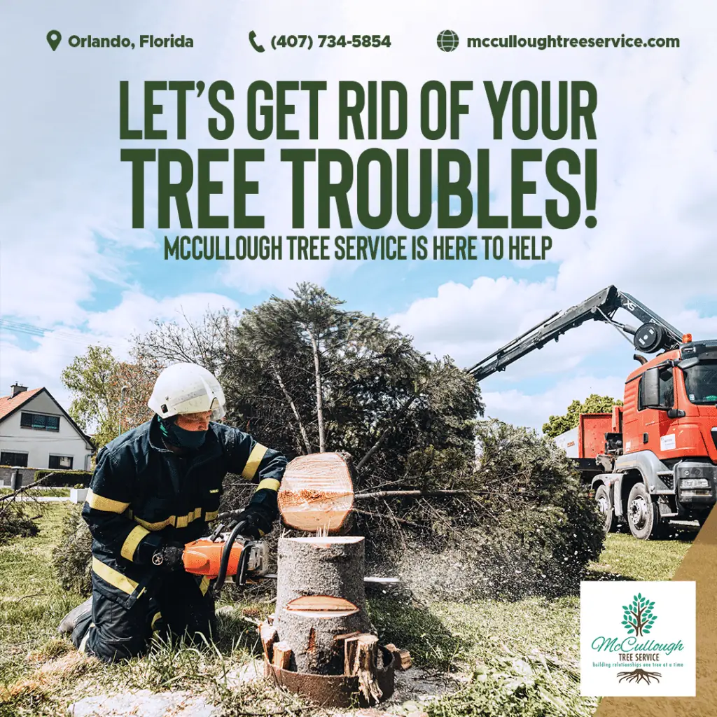 Tree Removal 2 Graphic reading 'Let's get rid of your tree troubles!' with a chainsaw worker and grapple truck, McCullough Tree Service logo