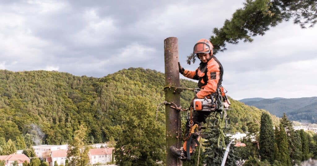 Responsibilities in Storm Cleanup: Essential Guide 3 Arborist in orange gear strapped to a bare tree trunk with a chainsaw, hills and houses in the background