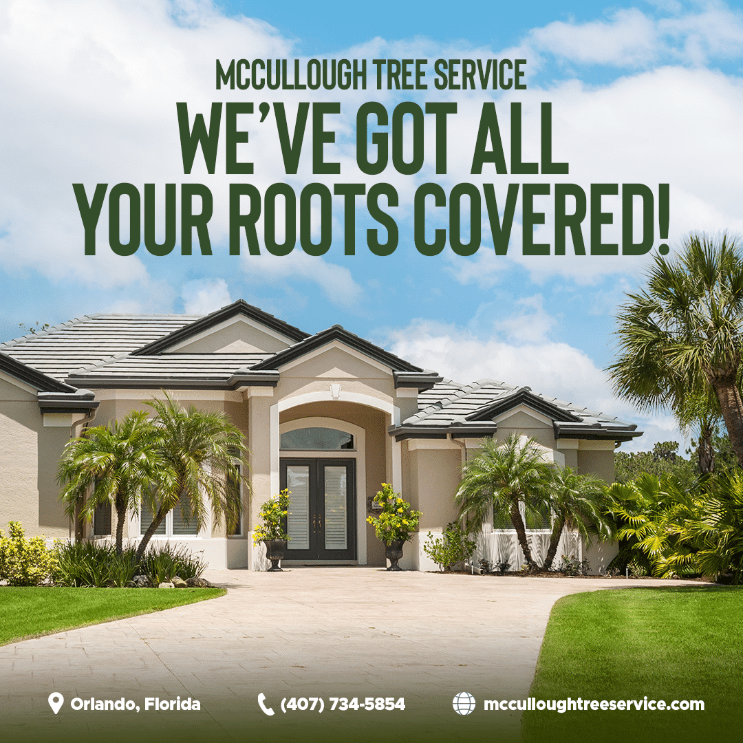 Graphic reading 'McCullough Tree Service: We've got all your roots covered!' over a stucco home with palms