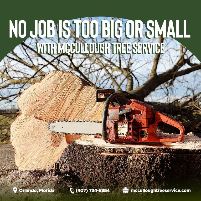 Graphic reading 'No job is too big or small with McCullough Tree Service' over a chainsaw resting on a stump