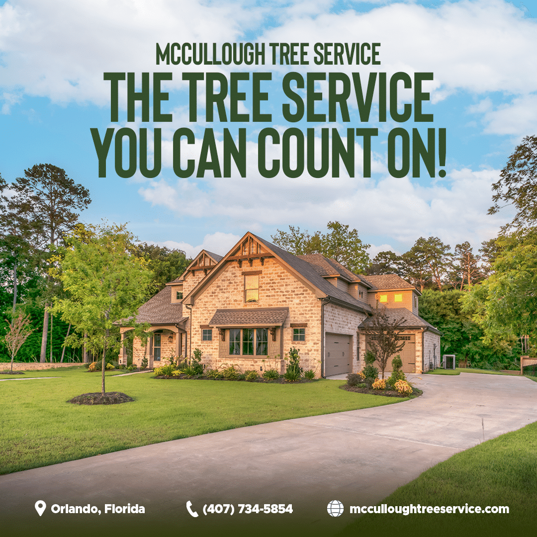 Graphic reading 'McCullough Tree Service: The tree service you can count on!' over a brick home with a landscaped yard