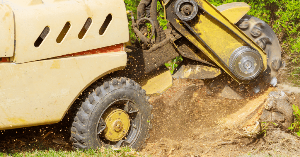 Stump Grinding & Tree Stump Removal 3 tree stump grinding Orlando