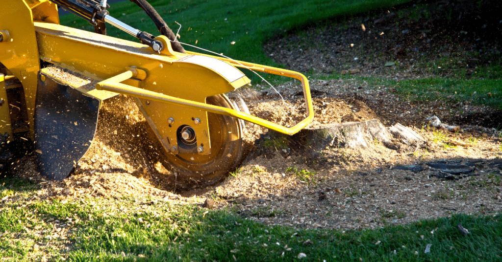 Stump Grinding & Tree Stump Removal 6 tree stump removal machine