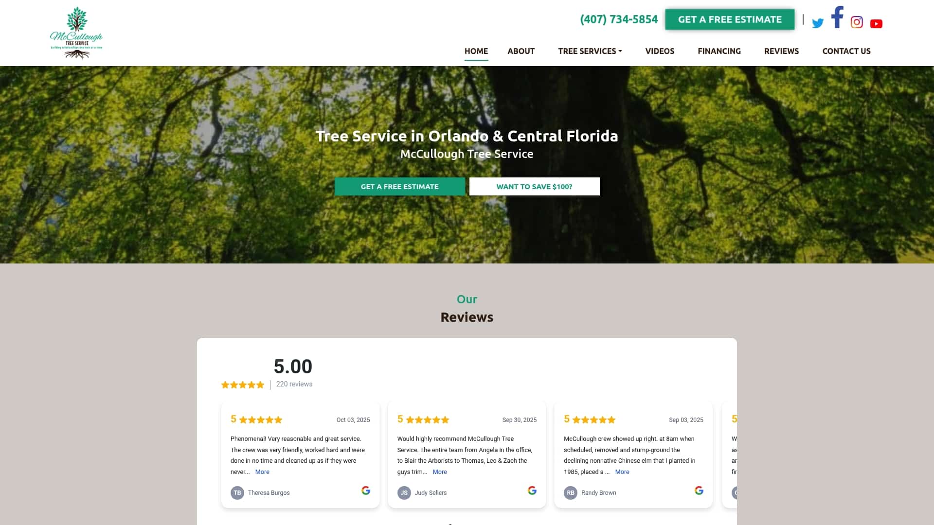 Tree Risk Assessment: What Every Property Owner Should Know 3 Mcculloughtreeservice