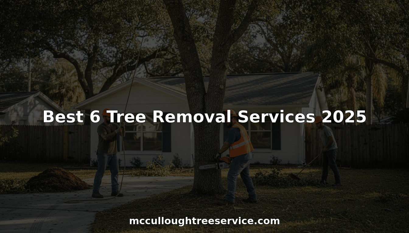 Best 6 Tree Removal Services 2025