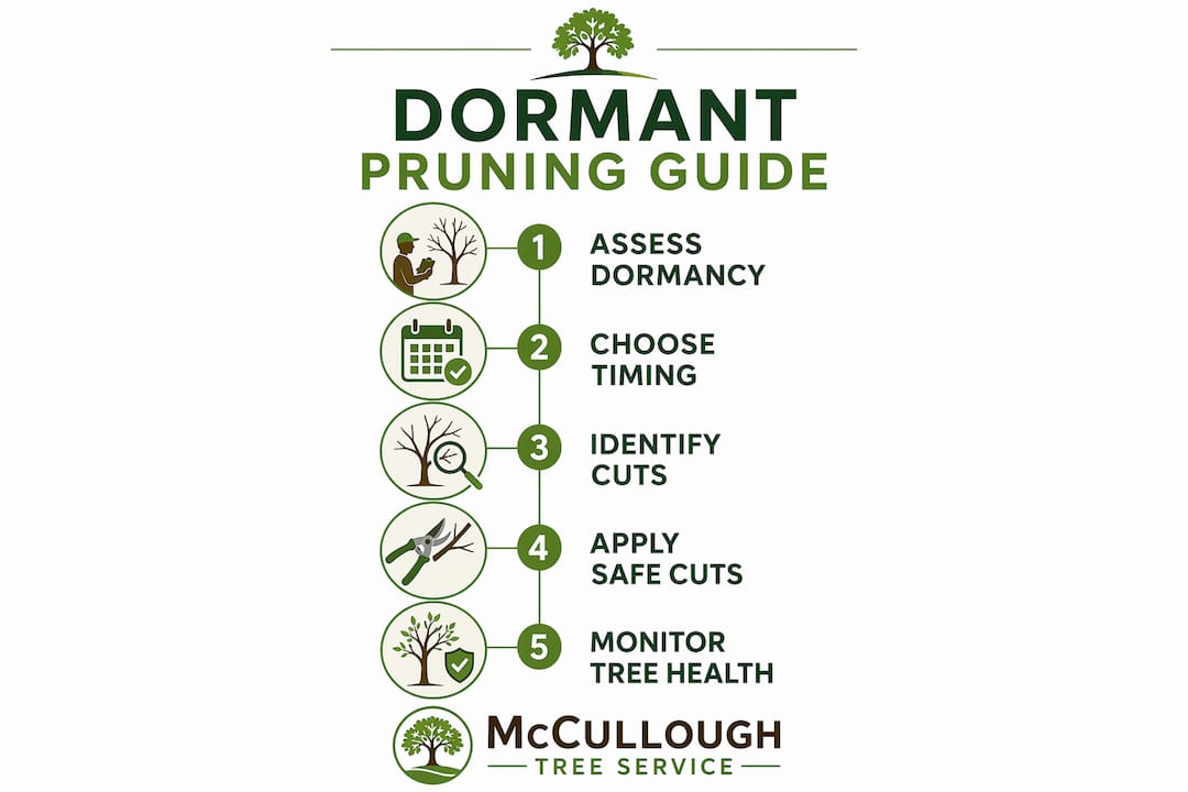 Why Dormant Pruning Is Used: A Homeowner's Guide 3 Vertical flow infographic outlining dormant pruning steps