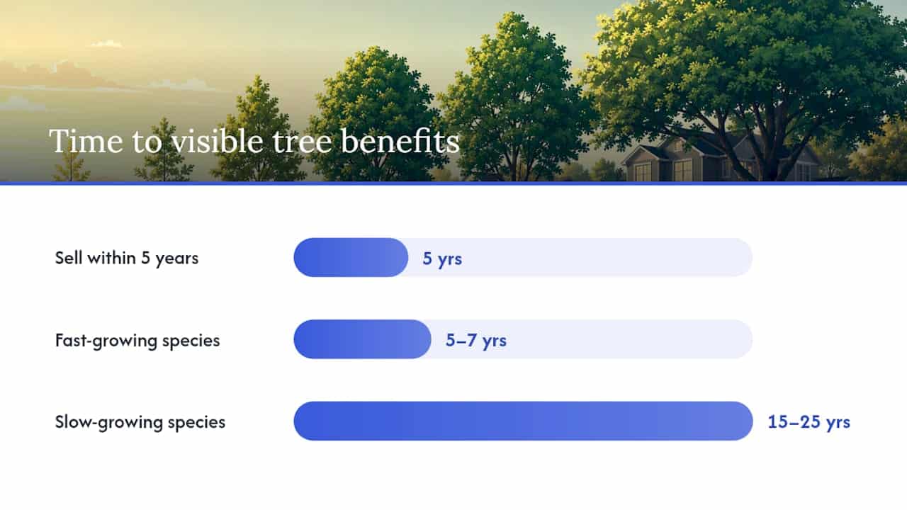 Timeline of tree investment actions and benefits