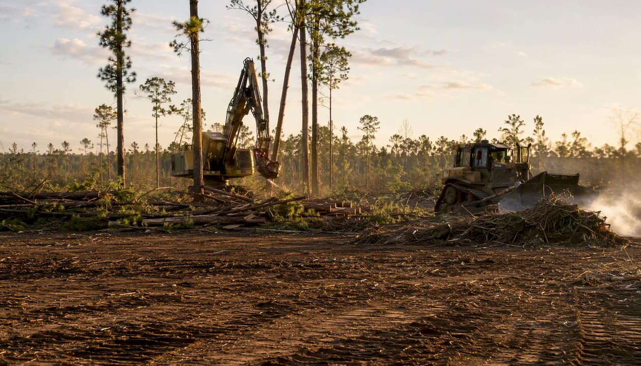 Land Clearing Methods Compared: 2026 Costs and Best Picks 3 Mechanical clearing with feller-buncher and bulldozer