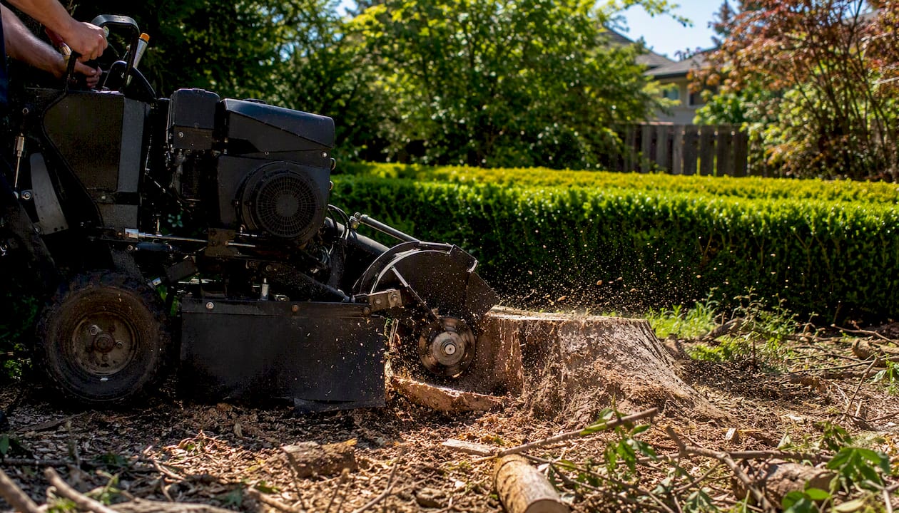 Land Clearing Cost: What to Budget per Acre in 2026 2 Stump grinder removing stump on residential lot