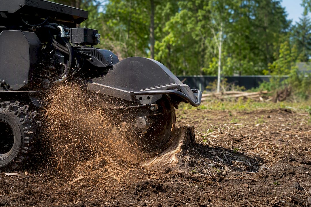 Stump grinder removing tree stump