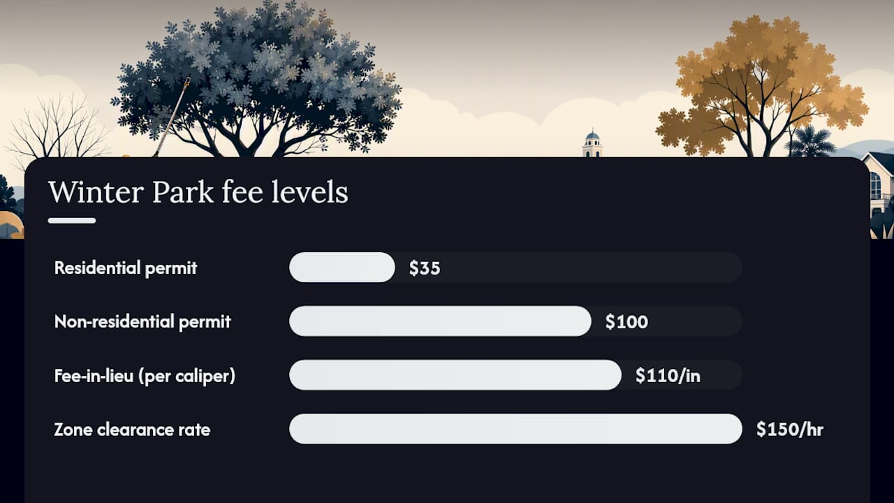 Diagram of Winter Park tree permit fees and penalties