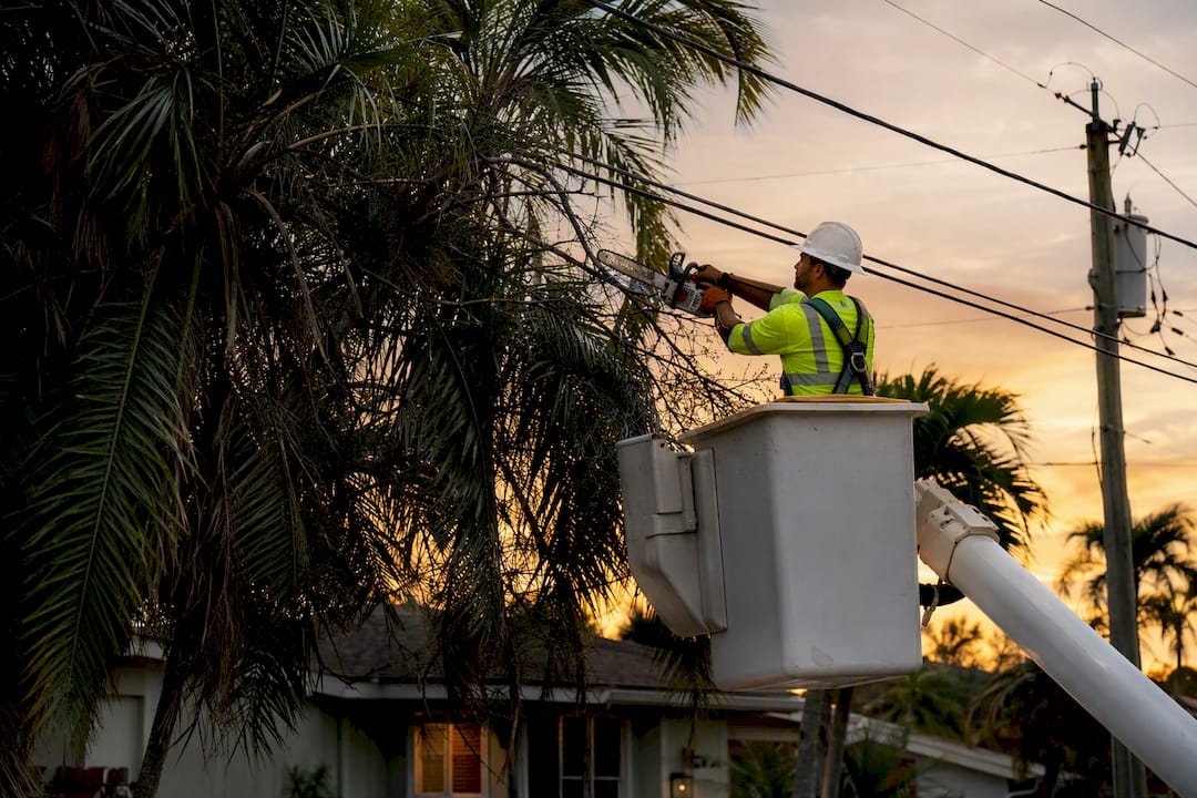 Utility worker pruning trees near power lines