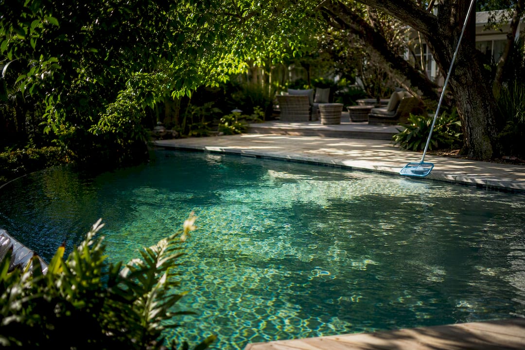 Which Trees Are Safe to Plant Near a Pool? 3 Pool water shaded by tree canopy