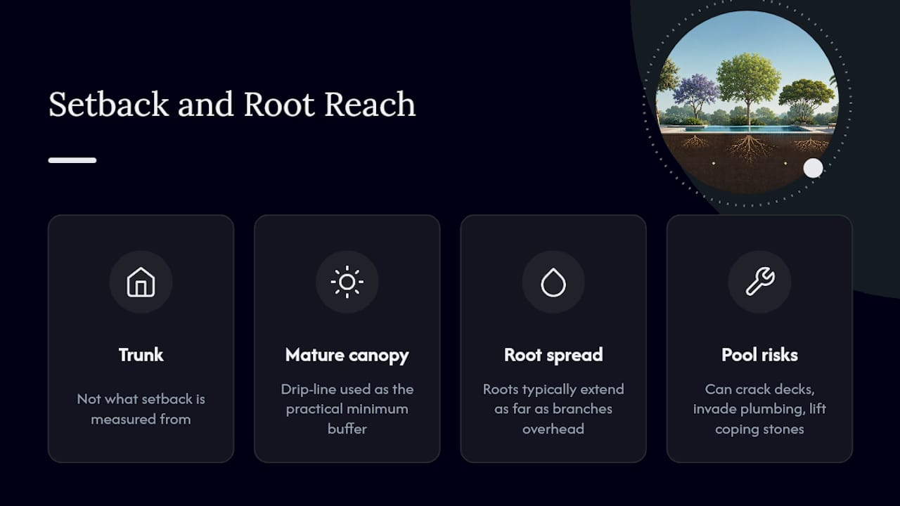 Which Trees Are Safe to Plant Near a Pool? 1 Diagram of tree root spread vs canopy and pool setback