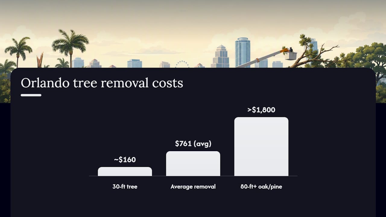 Orlando tree removal cost comparison