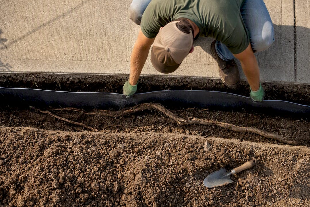 Root barrier installed beside driveway