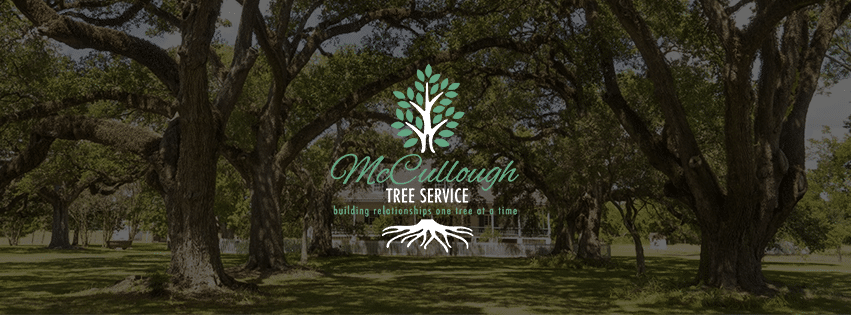 #1 Tree Trimming Service in Winter Springs, FL