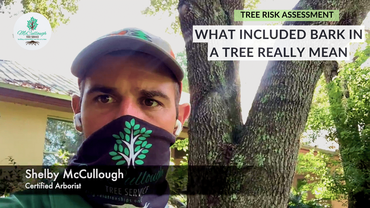 Check Out Our Videos Mccullough Tree Service