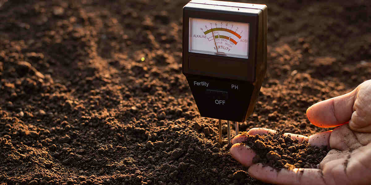 Soil Tests: Importance, Benefits & How to Use the Results