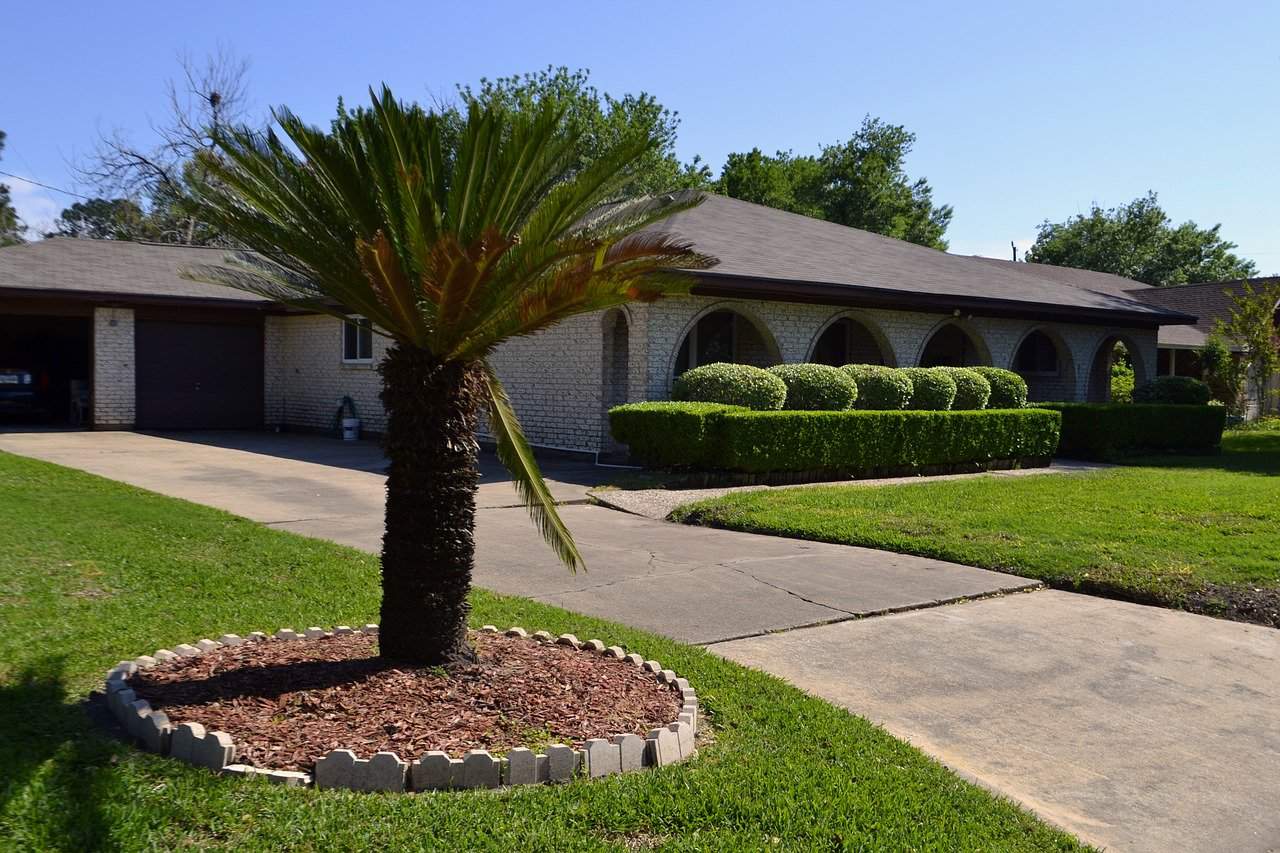 tree and shrub removal