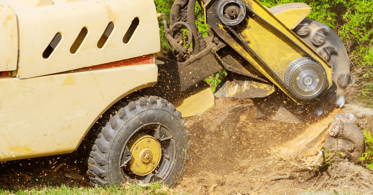 tree stump grinding Orlando