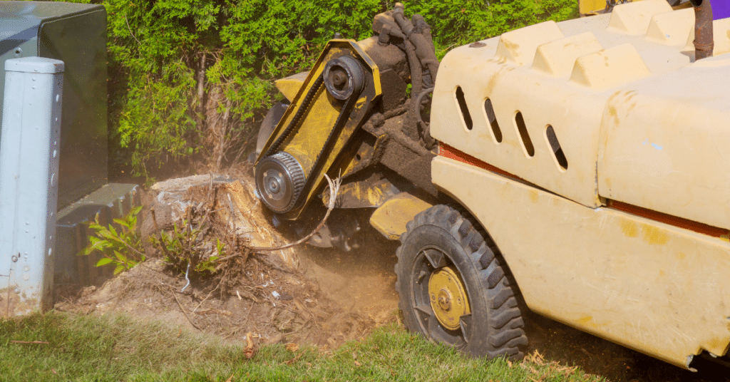 tree stump removal with machine