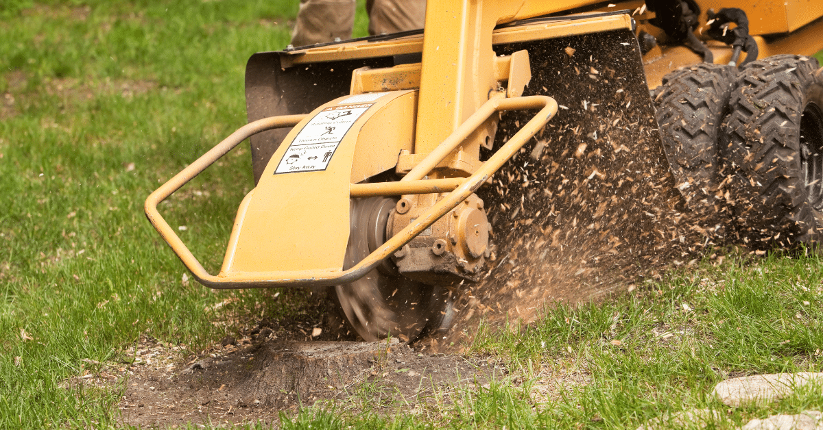 Affordable Stump Grinding & Tree Stump Removal McCullough Tree Service
